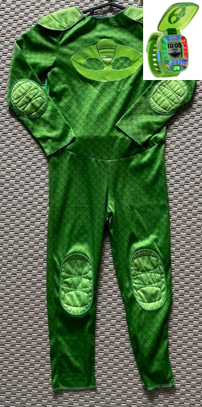 PJ Masks Gecko costume